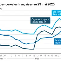 Graphique prix blé orge maïs France du 23 mai 2025