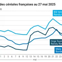 Graphique prix blé orge maïs France du 27 mai 2025