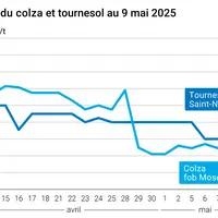 Graphique prix colza tournesol France du 9 mai 2025