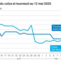 Graphique prix colza tournesol France du 12 mai 2025