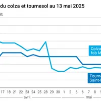 Graphique prix colza tournesol France du 13 mai 2025