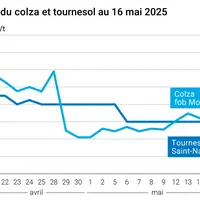 Graphique prix colza tournesol France du 16 mai 2025