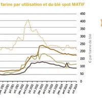 Graphique des indices de prix de farine par utilisation et du blé spot Matif.