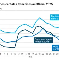Graphique prix blé orge maïs France du 27 mai 2025