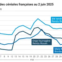 Graphique prix blé orge maïs France du 2 juin 2025