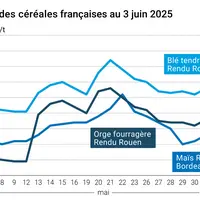 Graphique prix blé orge maïs France du 3 juin 2025