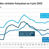 Graphique prix blé orge maïs France du 4 juin 2025