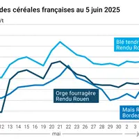Graphique prix blé orge maïs France du 5 juin 2025