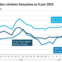 Graphique prix blé orge maïs France au 9 juin 2025