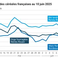 graphique prix blé orge maïs France au 10 juin 2025