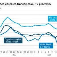 Graphique prix blé orge maïs France au 12 juin 2025