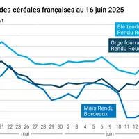 Graphique prix blé orge maïs France au 16 juin 2025