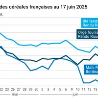 Graphique prix blé orge maïs France au 17 juin 2025