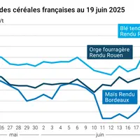 Graphique prix blé orge maïs France du 19 juin 2025