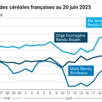 Graphique prix blé orge maïs France du 20 juin 2025
