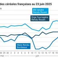 Graphique prix blé orge maïs France du 23 juin 2025