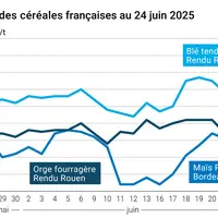 Graphique prix blé orge maïs France du 24 juin 2025