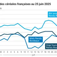 Graphique prix blé orge maïs France du 25 juin 2025