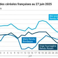 Graphique prix blé orge maïs France du 27 juin 2025