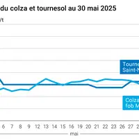 Graphique prix colza tournesol France du 30 mai 2025