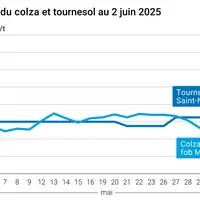Graphique prix colza tournesol France du 2 juin 2025