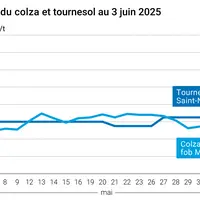 Graphique prix colza tournesol France du 3 juin 2025