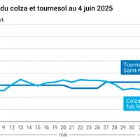 Graphique prix colza tournesol France du 4 juin 2025