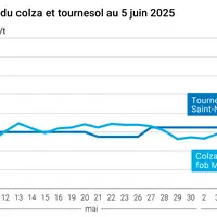 Graphique prix colza tournesol France du 5 juin 2025