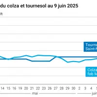Graphique prix colza tournesol France au 9 juin 2025