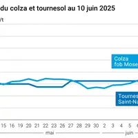 graphique prix colza tournesol France au 10 juin 2025