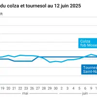 Graphique prix colza tournesol France au 12 juin 2025