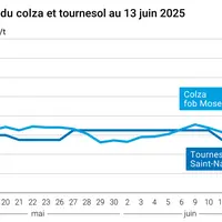 Prix du colza rendu Rouen et du tournesol rendu Saint Nazaire