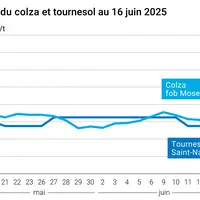 Graphique prix colza tournesol France au 16 juin 2025