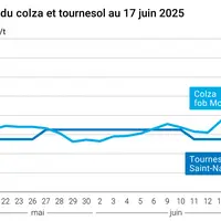 Graphique prix colza tournesol France au 17 juin 2025