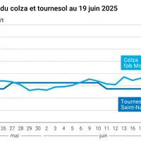 Graphique prix colza tournesol France du 19 juin 2025