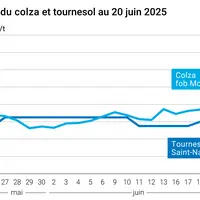 Graphique prix colza tournesol France du 20 juin 2025