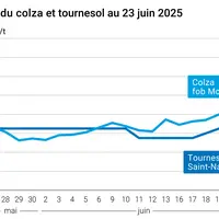 Graphique prix colza tournesol France du 23 juin 2025