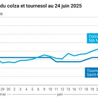 Graphique prix colza tournesol France du 24 juin 2025