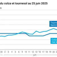 Graphique prix colza tournesol France du 25 juin 2025