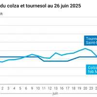 Graphique prix colza tournesol France du 26 juin 2025