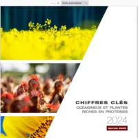 couverture rapport activité 2024 de Terres Inovia, édition 2025
