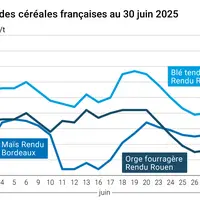 Graphique prix blé orge maïs France du 30 juin 2025