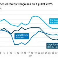 Graphique prix blé orge maïs France du 1er juillet 2025