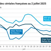 Graphique prix blé orge maïs France du 3 juillet 2025