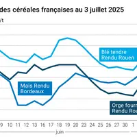 Graphique prix blé orge maïs France du 3 juillet 2025