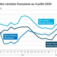 Graphique prix blé orge maïs France du 4 juillet 2025
