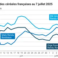 Graphique prix blé orge maïs France du 7 juillet 2025