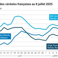 Graphique prix blé orge maïs France du 8 juillet 2025