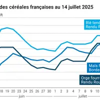 Graphique prix blé orge maïs France au 14 juillet 2025