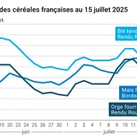 Graphique prix blé orge maïs France du 15 juillet 2025